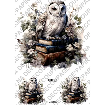 Umělecký papír Rýžový a soft papír na decoupage - Sova na knihách - KB03686 Materiál: Soft, Rozměr: A4