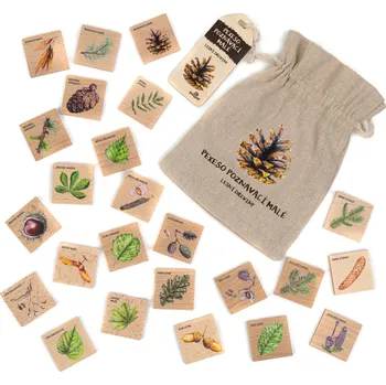 Karetní hra Lesní svět Pexeso poznávací malé - Lesní dřeviny