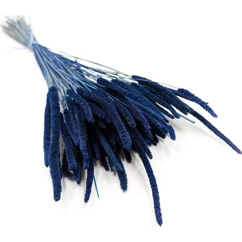 mech-mech.cz Sušený Bojínek luční - Tmavě modrý