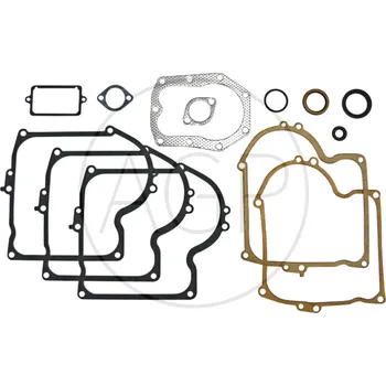 Příslušenství k zahradní technice Sada těsnění pro Briggs a Stratton na typy série 22 a 25