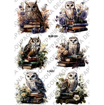 Umělecký papír Rýžový a soft papír na decoupage - Sova na knihách - KB03692 Materiál: Soft, Rozměr: A4