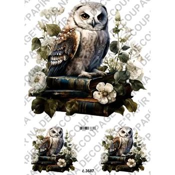 Výtvarný papír Rýžový a soft papír na decoupage - Sova na knihách - KB03687 Materiál: Rýžový papír, Rozměr: A4