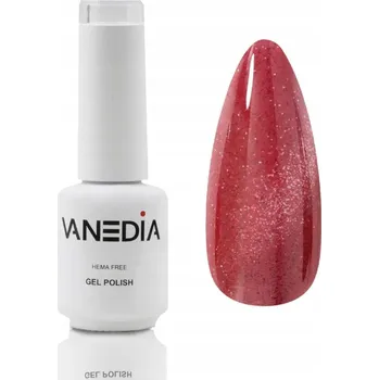 Přípravek na nehty Vanedia - magnetický gel lak (cat eye), L42 8 ml.