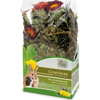 Krmivo pro hlodavce JR Farm pamlsky směs 0,1 kg