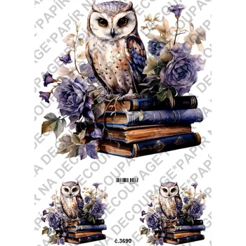 Umělecký papír Rýžový a soft papír na decoupage - Sova na knihách - KB03690 Materiál: Soft, Rozměr: A4