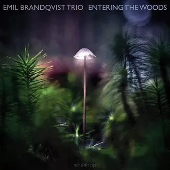 Zahraniční hudba Entering The Woods Emil Brandqvist Trio CD