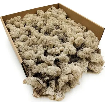 Obraz Mech Chrobotek Sobí - Finský - Čištěný - Bílý 250g NETTO