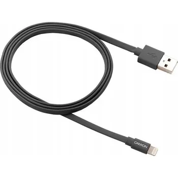 Datový kabel Kabel Canyon USB - Apple Lightning, 1 m, stříbrný