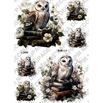 Umělecký papír Rýžový a soft papír na decoupage - Sova na knihách - KB03688 Materiál: Soft, Rozměr: A4