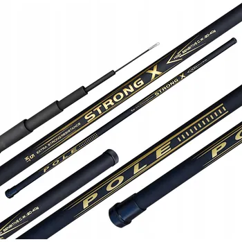 Rybářský prut Prut na plavanou POLE PRUT STRONG X 500, vrhací zátěž 20-40 g, 5 m, ČERNÝ