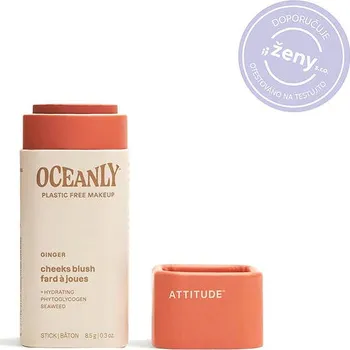 Přípravek na tvář ATTITUDE Oceanly Ginger 8,5 g
