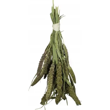 Krmivo pro hlodavce JR Farm proso senegalskie zielone 50 g