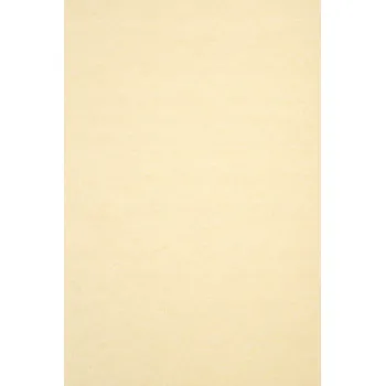 Papír pro tiskárny Ozdobný papír A4 Favini 180 g/m2 100 listů