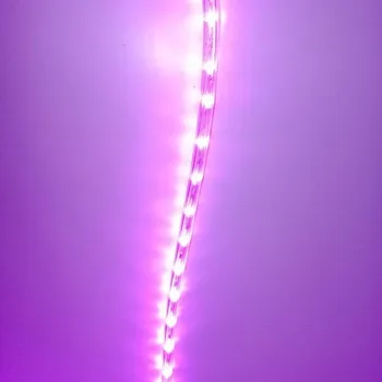 LED páska DECOLED LED hadice 1 m, růžová, 30 diod