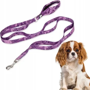 Vodítko pro psa Tradiční páskové Vodítko Truelove 1,4 m