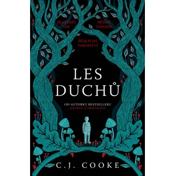Les duchů - Carolyn Jess Cooke