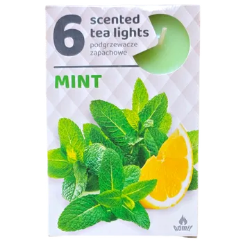 Svíčka Admit Čajové svíčky - Máta