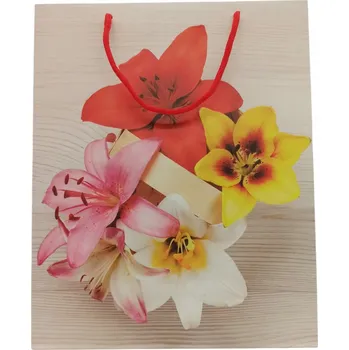 Dárková taška DÁRKOVÁ PAPÍROVÁ TAŠKA OZDOBNÁ K NAROZENINÁM 32/26 CM