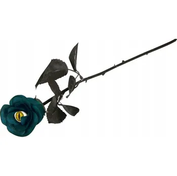 Růže s kočičím okem Fiestas Guirca 24477 42 cm