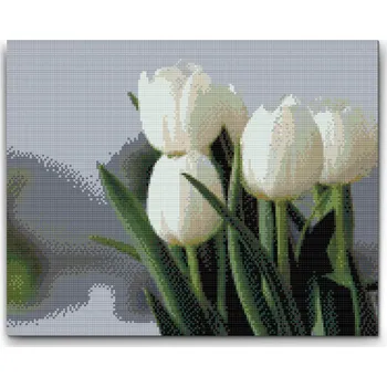 Diamantové malování Diamantové malování - Bílé tulipány Velikost: 30x40cm, Rámování: Pouze srolované plátno, Diamanty: Čtvercové