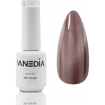 Přípravek na nehty Vanedia - magnetický gel lak (cat eye), J13 8 ml.