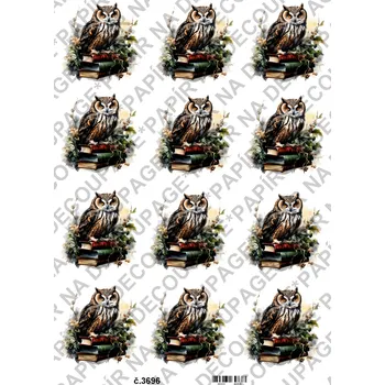 Umělecký papír Rýžový a soft papír na decoupage - Sova na knihách - KB03696 Materiál: Soft, Rozměr: A4