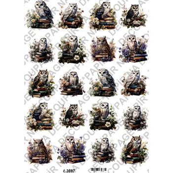 Umělecký papír Rýžový a soft papír na decoupage - Sova na knihách - KB03697 Materiál: Soft, Rozměr: A4
