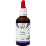 Salvia Paradise Šalvěj lékařská AF tinktura 50 ml