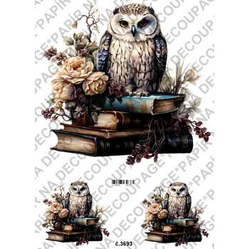 Umělecký papír Rýžový a soft papír na decoupage - Sova na knihách - KB03693 Materiál: Soft, Rozměr: A4