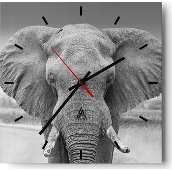 Hodiny Nástěnné hodiny do kuchyně 30x30 Slon Stylové hodiny na skle Loft Tiché