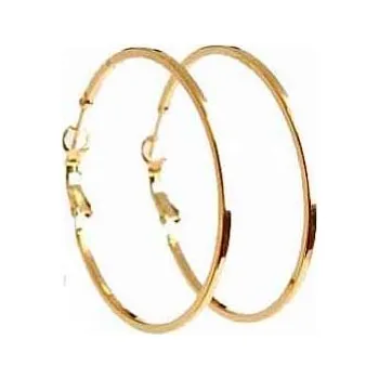 Náušnice Klasické kruhové náušnice zlato/stříbro COLIBRA móda