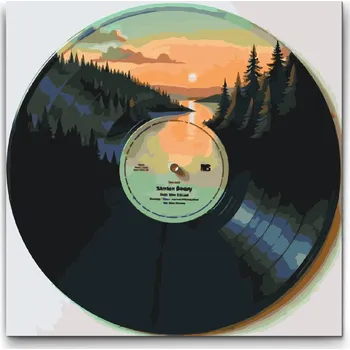 Malování podle čísel - Gramofonová deska 3 Velikost: 50x50cm, Rámování: Pouze srolované plátno