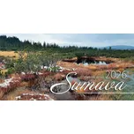 TISKÁRNA ČERNÝ Vladislav Hošek stolní…