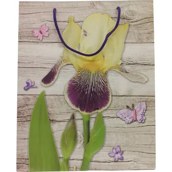 Dárková taška DÁRKOVÁ PAPÍROVÁ TAŠKA OZDOBNÁ K NAROZENINÁM 32/26 CM