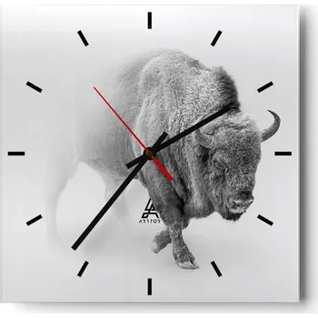 Hodiny Nástěnné hodiny do kuchyně 30x30 Zubr Stylové hodiny na skle Loft Tiché