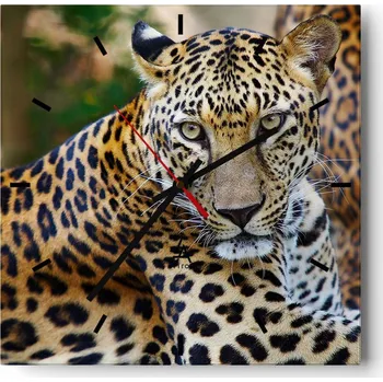 Hodiny Nástěnné hodiny do kuchyně 30x30 Zvířata Stylové hodiny na skle Loft Tiché