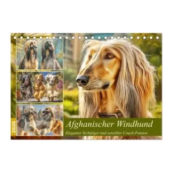 Cestování Afghanischer Windhund. Eleganter Sichtjäger und sensibler Couch-Potatoe (Tischkalender 2026 DIN A5 quer), CALVENDO Monatskalender: Afghanische Windhunde in ihrer ganzen Schönheit - edel, unabhängig und voller Lebensfreude.. DE – Calvendo,Rose Hurley (DE)