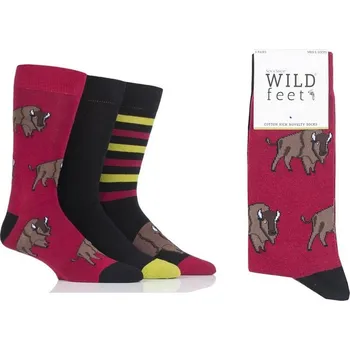 Pánské ponožky cenová akce WILD FEET pánské vzorované ponožky BIZON 39-46 Mix barev