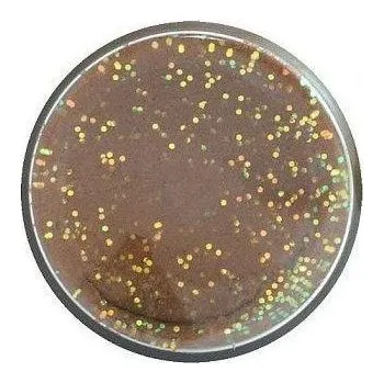 Nástraha Obalovací těsto Berkley PowerBait Natural Glitter Trout Dough 86gr Fish Pellet Glitter