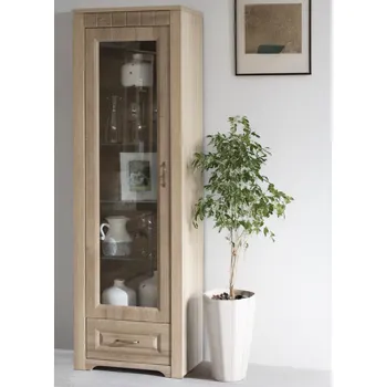 Knihovna Vysoká vitrína Atik, dub riviera, levá