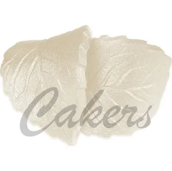 Čokoláda Pearl Spray PERLEŤOVĚ BÍLÝ 100ml