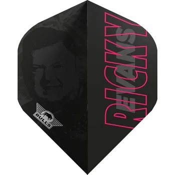 Příslušenství pro šipky Bulls NL letky Ricky Evans E2 No.2