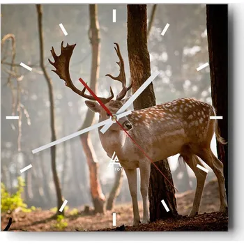 Hodiny Nástěnné hodiny do kuchyně 30x30 Zvířata Stylové hodiny na skle Loft Tiché