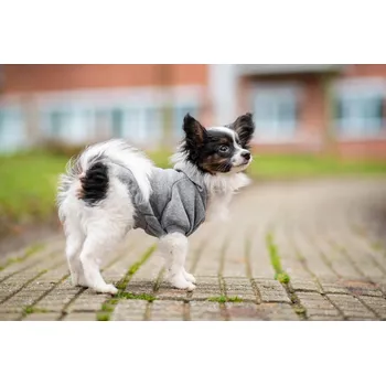 Obleček pro psa Vsepropejska Zupo mikina pro psa Barva: Šedá, Délka zad (cm): 27, Obvod hrudníku: 43 - 49 cm