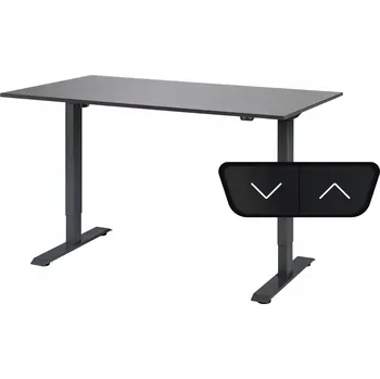 Psací stůl Obdélníkový psací stůl ProErgo 120 x 80 x 121 cm černý