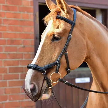 Koňská maska proti hmyzu Síťka na nos Equilibrium pro anatomickou uzdečku M/L černá