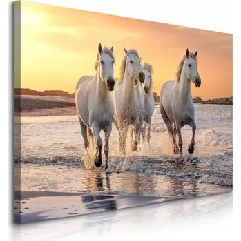 Obraz Obraz do obýváku cválající koně krajina 70x50 cm