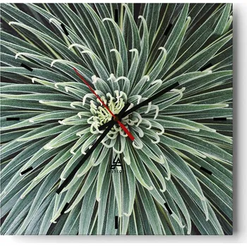 Hodiny Nástěnné hodiny do kuchyně 30x30 Květ Agáve Stylové hodiny na skle Loft Tiché