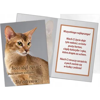 Obraz Přáníčko s obálkou a kočkou – Zrzavá kočka B6 – univerzální malý vzor – narozeniny