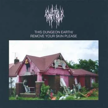 Zahraniční hudba LP Chat Pile: This Dungeon Earth / Remove Your Skin Please 2025 (662302)